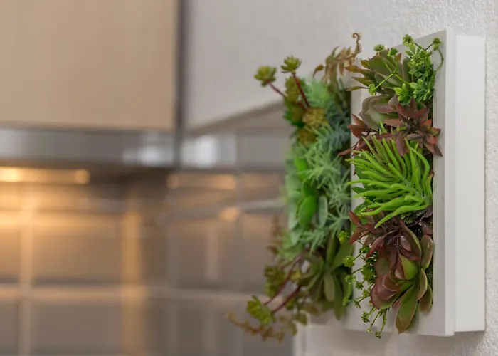 Mamma Mia Apartments-city Center Hvar Town