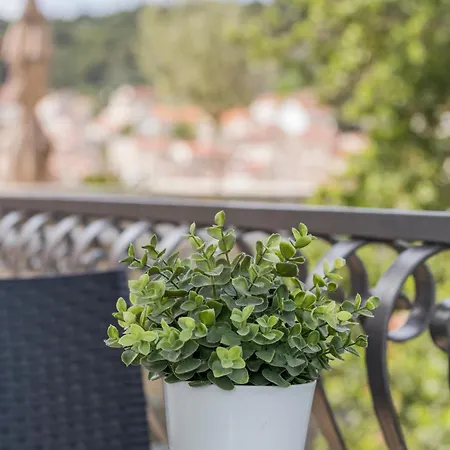 Mamma Mia Apartments-city Center * Hvar Town