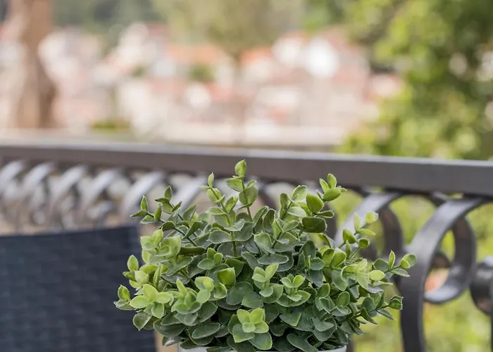 Mamma Mia Apartments-city Center * Хвар