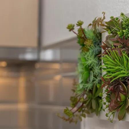 Mamma Mia Apartments-city Center Hvar Town